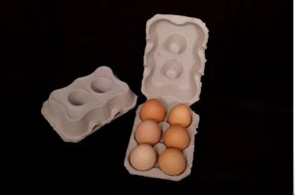 6 Cavity Egg Tray with Lid