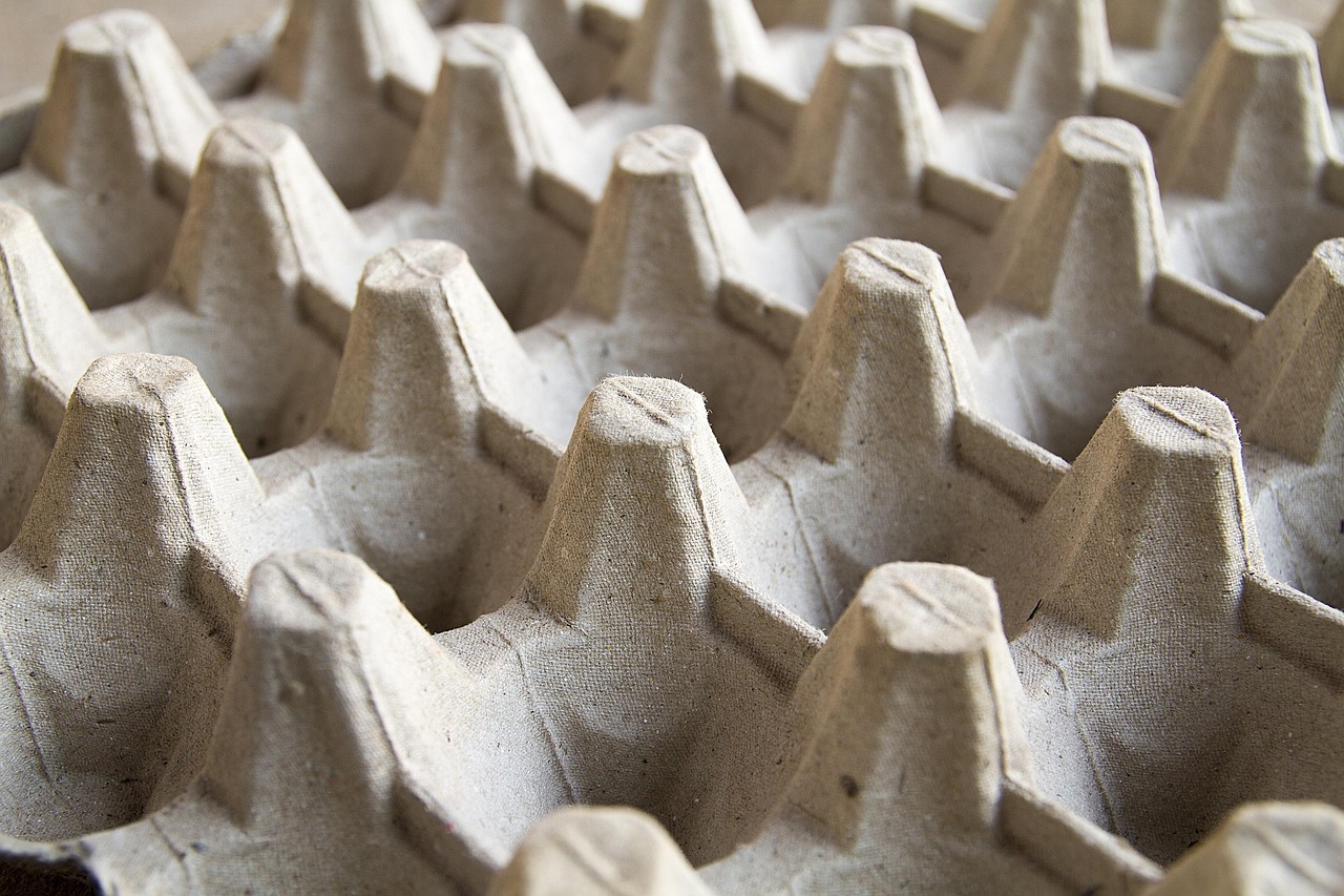 Aavadh Exports manufactures and exports sustainable moulded pulp packaging including egg trays, fruit trays, medical disposables, shoe inserts, cup holders, and custom protective packaging solutions.